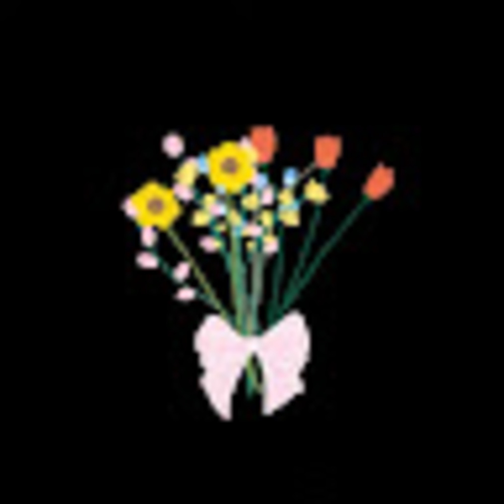 Meet your Posher, Skyezown